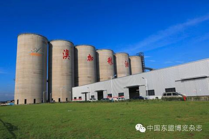 河南粮油批发行业——从客户案例看市场变化与机遇
