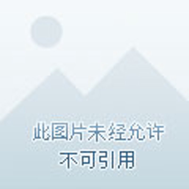 河南粮油批发