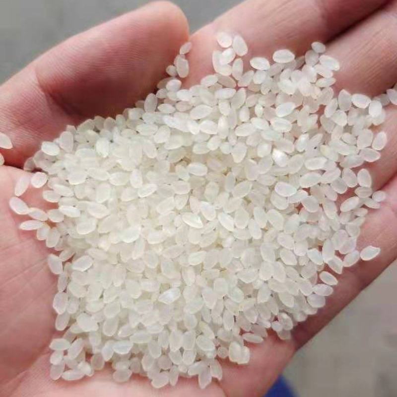 食用油批发行业的市场趋势解读